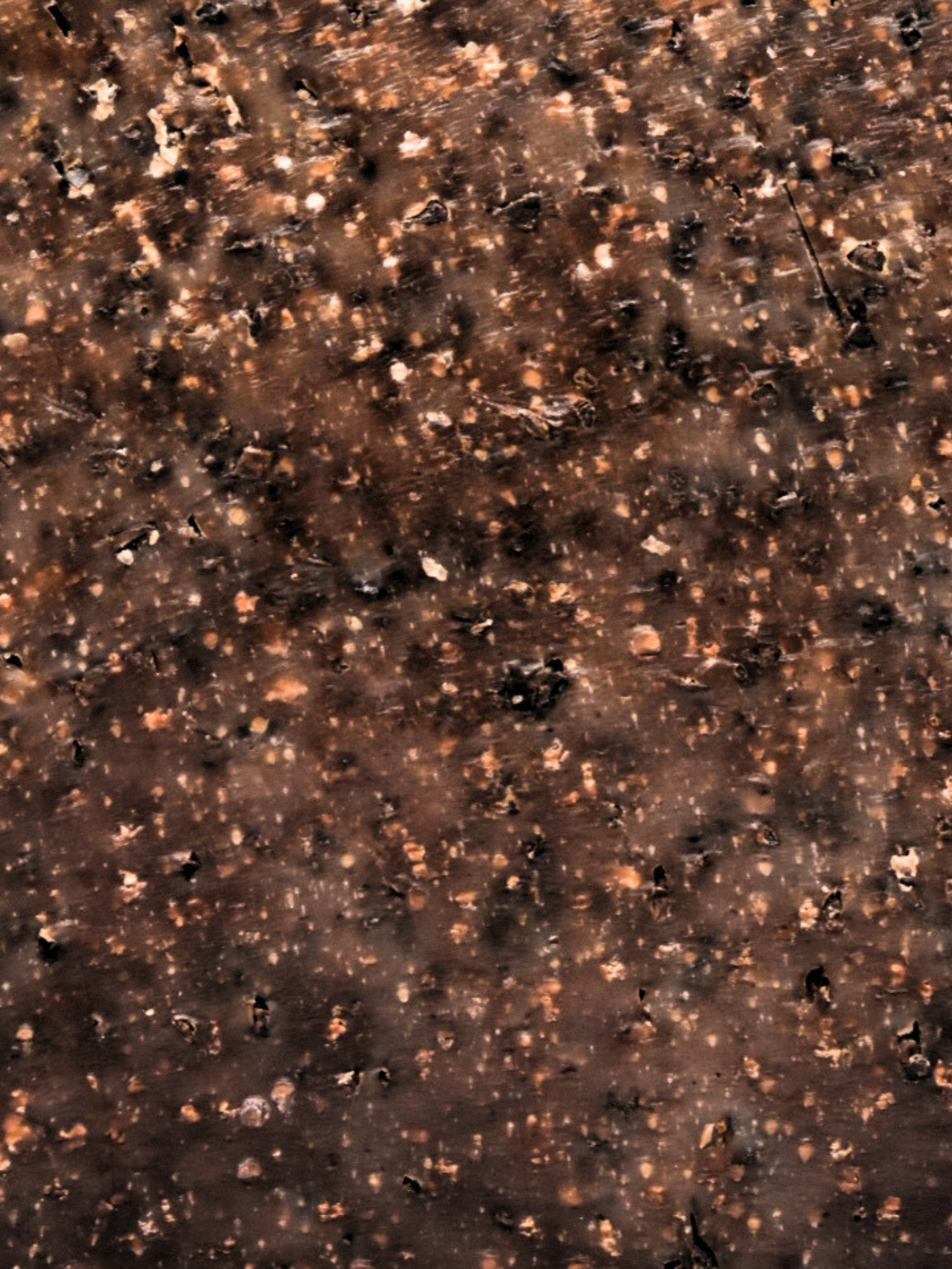 “Coffee Shop” Cold Process Soap